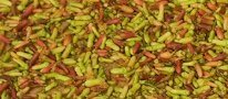 Call for papers: International Symposium on Processing & Drying of Foods, Vegetables & Fruits