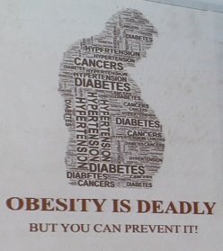obesity article image