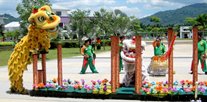 Lion dance photo.