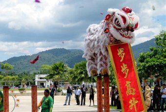 Lion dance