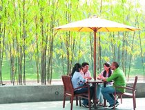 Students at cafe