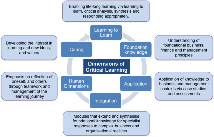 MSc Dimensions of Critical Learning