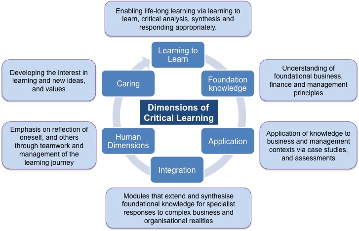MSc Dimensions of Critical Learning