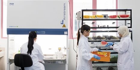 M-Biosciences-CEPBDSC9181