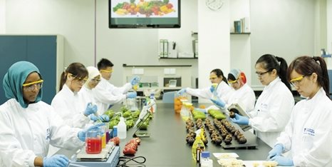 M-Biosciences-CEPBDSC9258