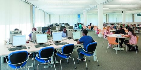 librarystudy