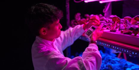 gallery-4-fose-science