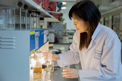 Mei Fong article