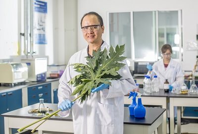 Dr Hii Ching Lik article image