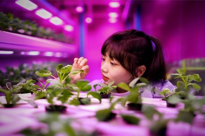 tile-healthscience-2026