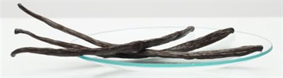 Vanilla-Cropped-445x124