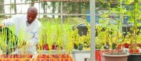 10 Years of Biosciences in Malaysia, Nurturing the Solutions of Tomorrow