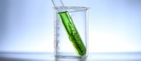 UNM School of Pharmacy UG representatives publish paper in Elsevier