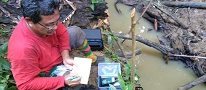 Scientists discover two new species and new genus of freshwater mussels in Borneo