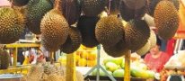 Soft but Spiky Power: Can the Durian Go Global?