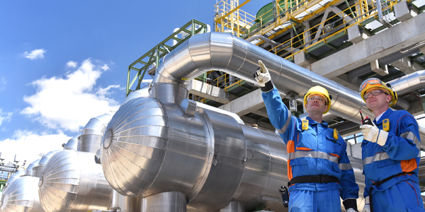 Department of Chemical and Environmental Engineering