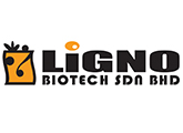 Ligno biotech