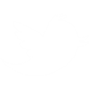 twitter-icon