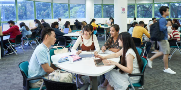 tle-student-support-hub-main-top