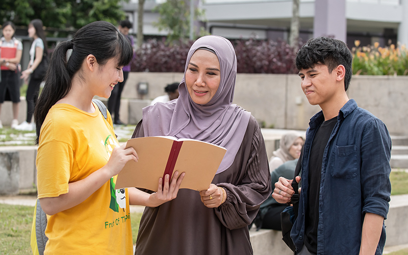 SOL-Image Gallery-1-800x500