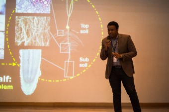 3MT201804