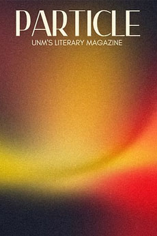 issue-23