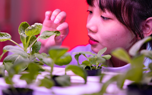 article-sustainability-impact-rating
