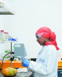 Student in lab