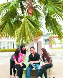 Students by palm tree