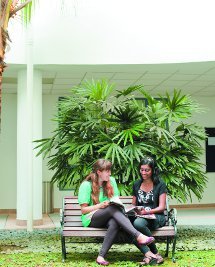 Students sitting outside