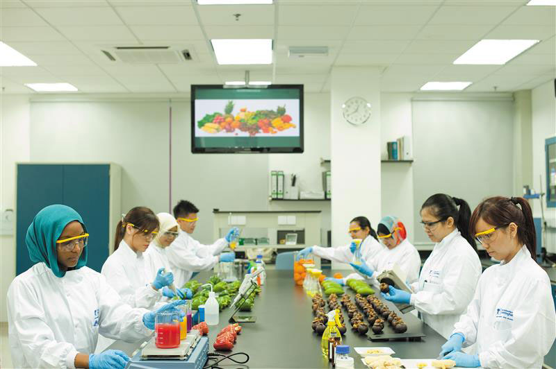 reseach-impact-leftovers-reimagined-researchers-exploring-nutrient-extraction