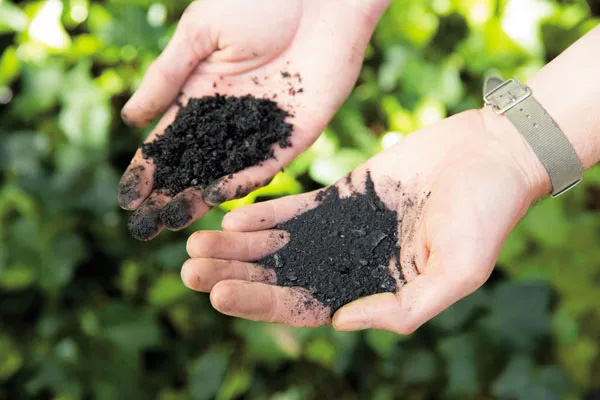 reseach-impact-turning-waste-into-value-biochar