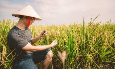 thumbnail-research-impact-a-smarter-way-to-farm