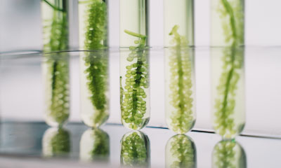 thumbnail-research-impact-mean-green-lean