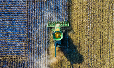 thumbnail-research-impact-small-crops-big-change