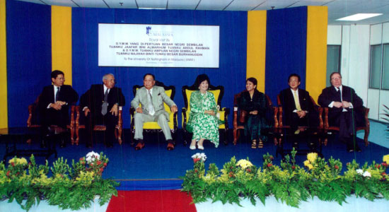 tile-milestones-unm-vision-1