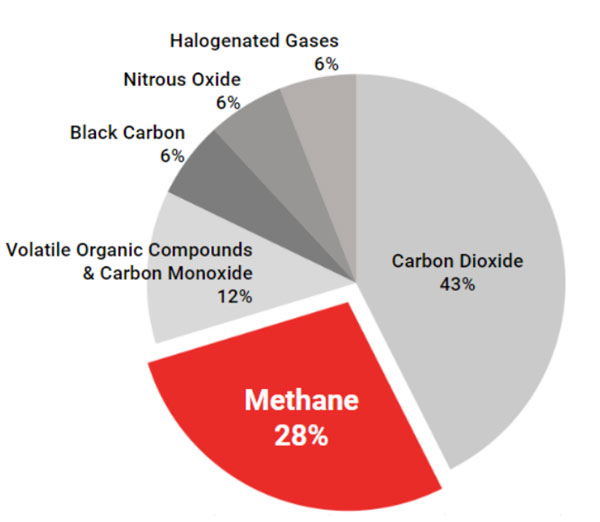 tile-research-impact-emission-pie-chart